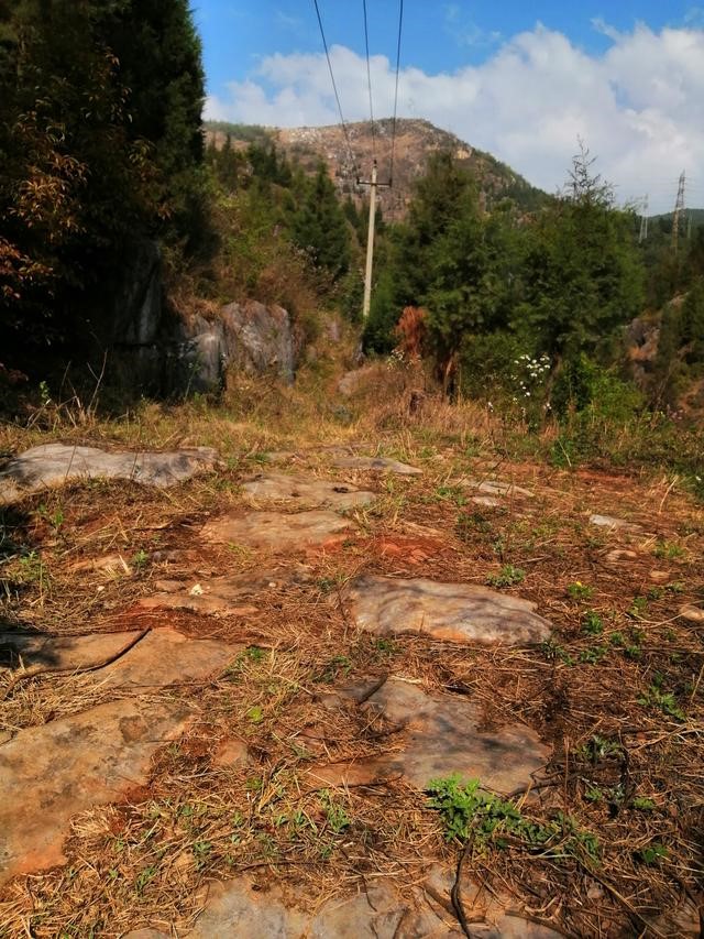 徐霞客游记完整视频,徐霞客游黄山后记全文