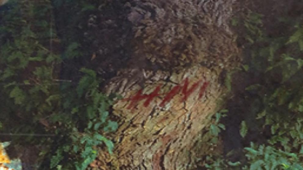 乌合麒麟发布新作血棉行动,乌合麒麟怒揭血棉真相