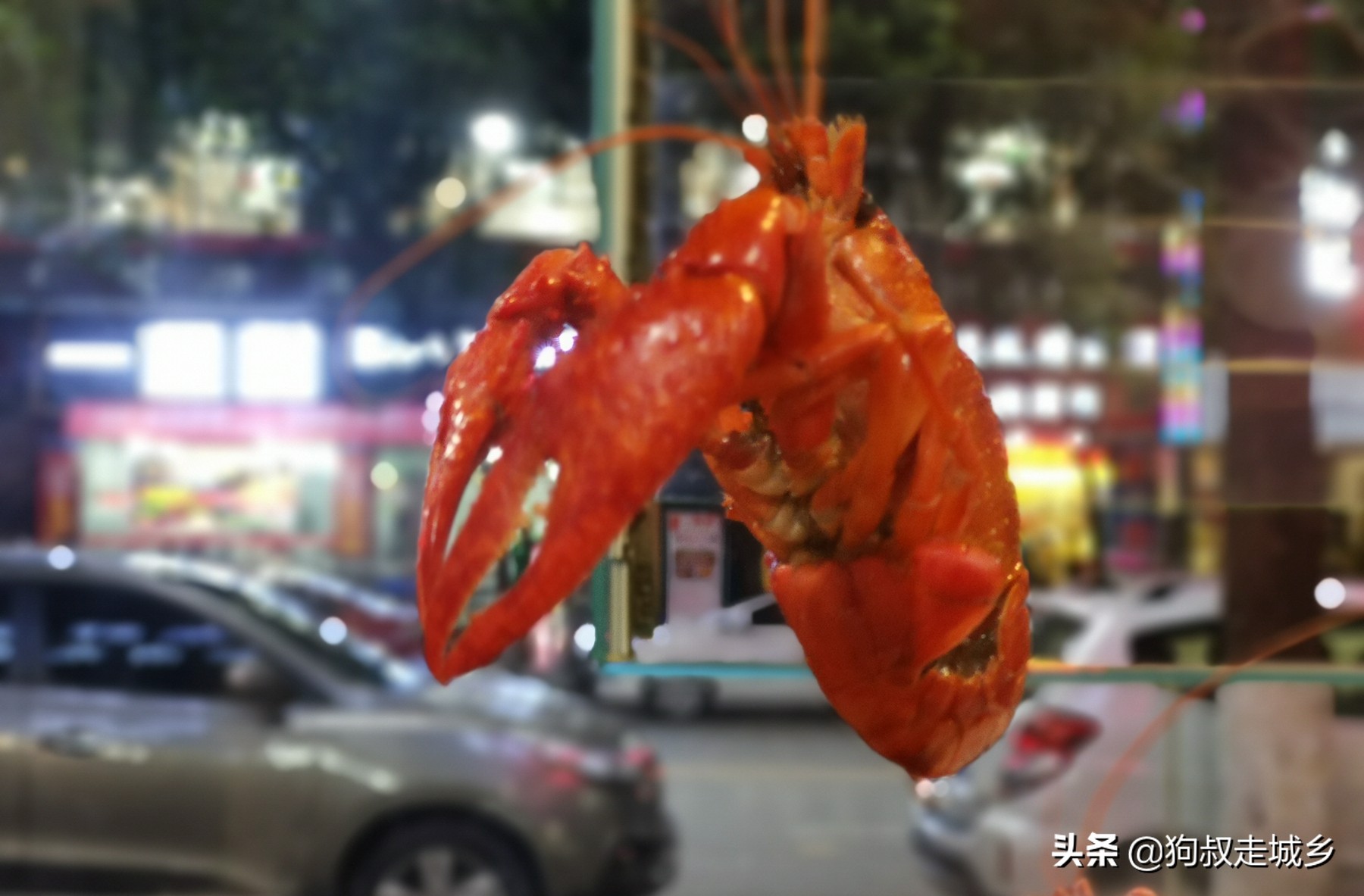 四川南充:这家网红霸王虾,让狗叔“丢人现眼”啊!