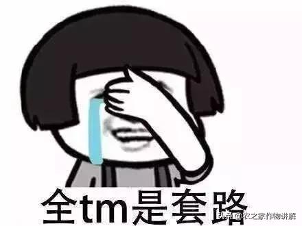 买肥料被骗了怎么办,买农资的坑