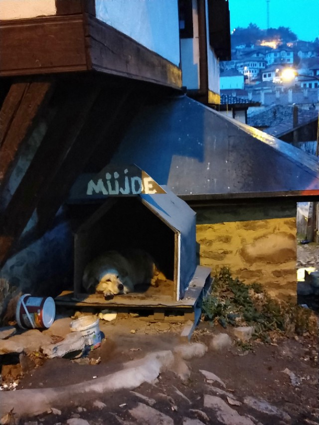 花样姐姐第一季景点,花样姐姐土耳其伊斯坦布尔