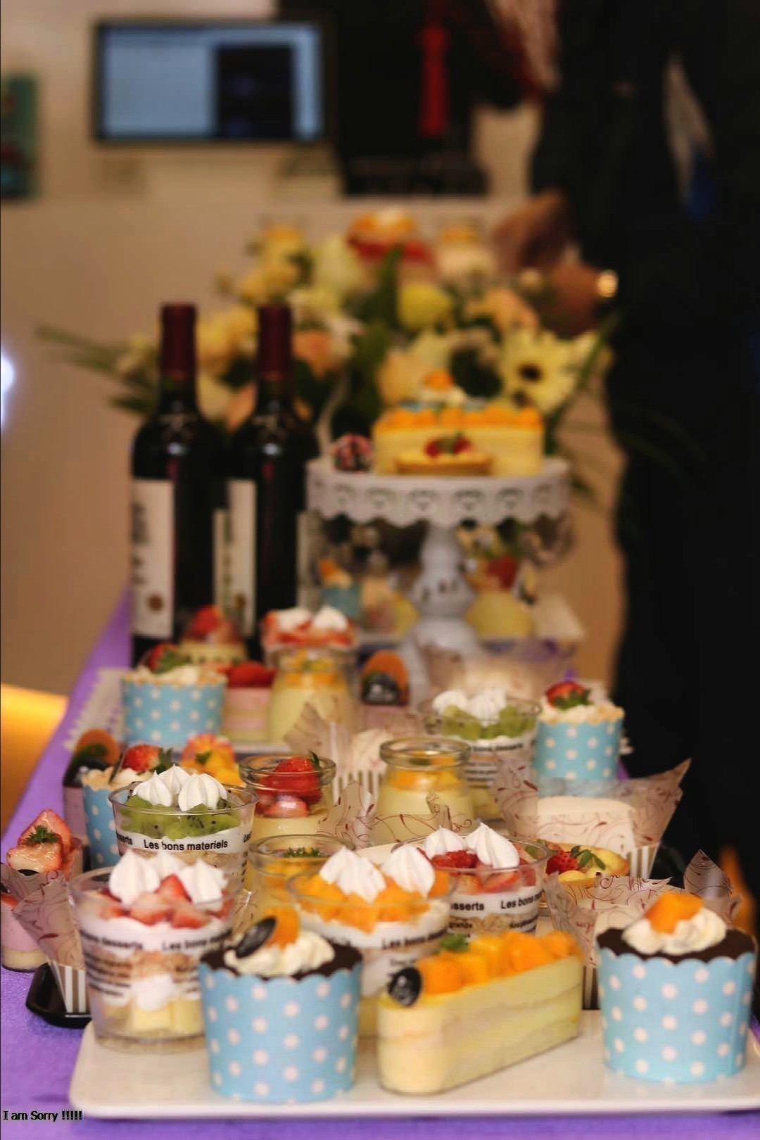 该如何开好一家宠物店呢,如何开一家自己的宠物店