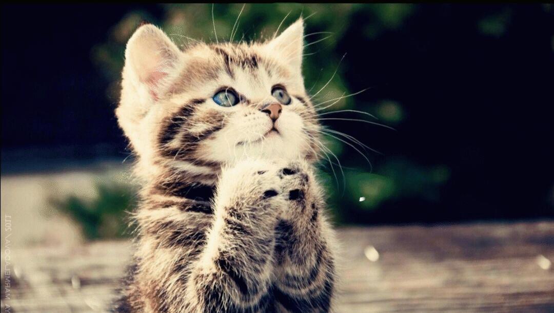 两本超级好看的小说,两本非常好看的娱乐小说