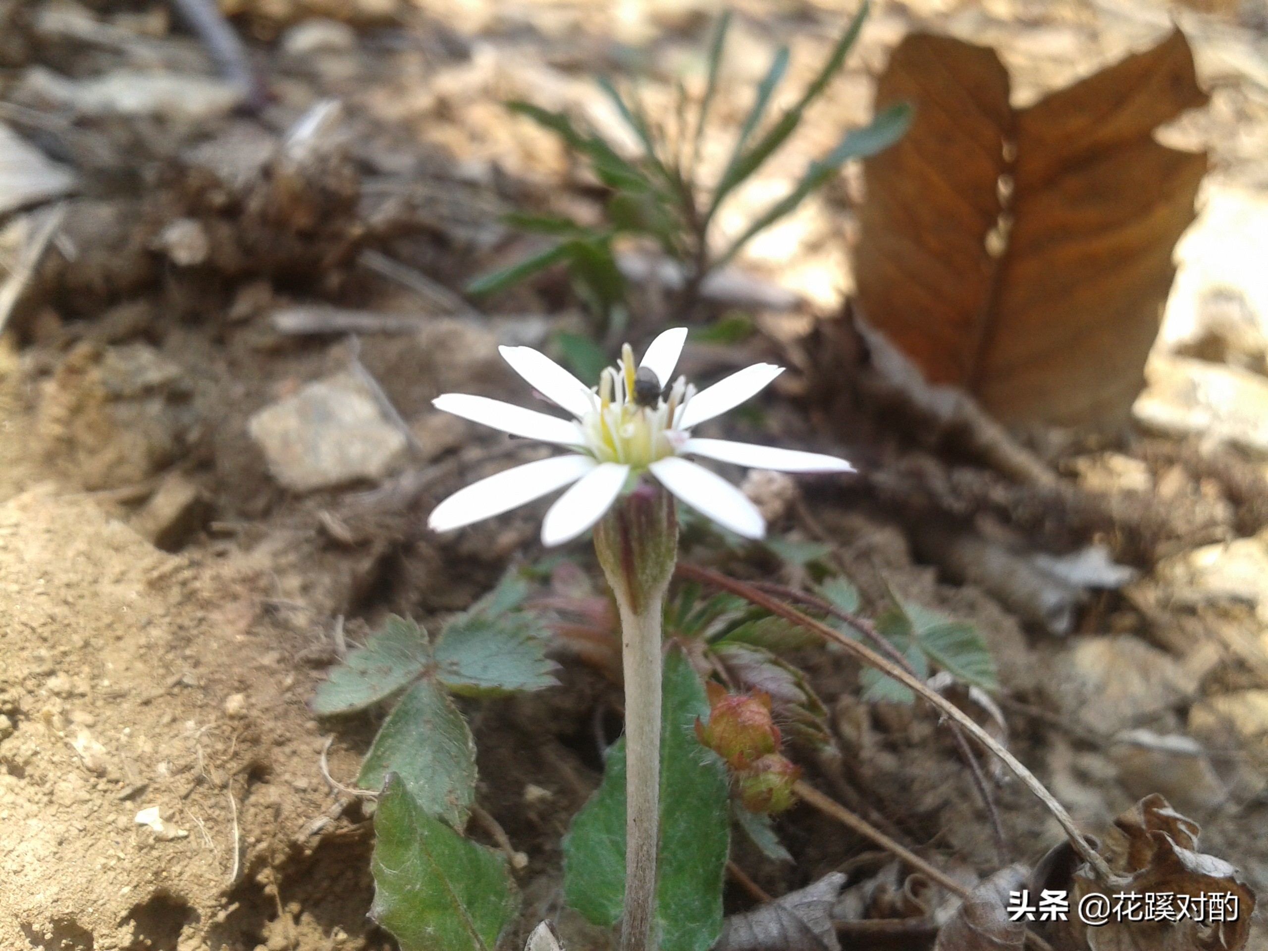 分手5年偶遇,分手5年再遇前任的感悟