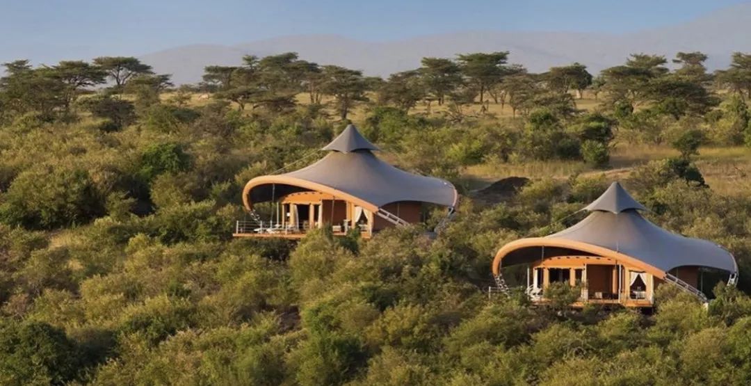 非洲猎游全攻略，让你分分钟玩转非洲草原