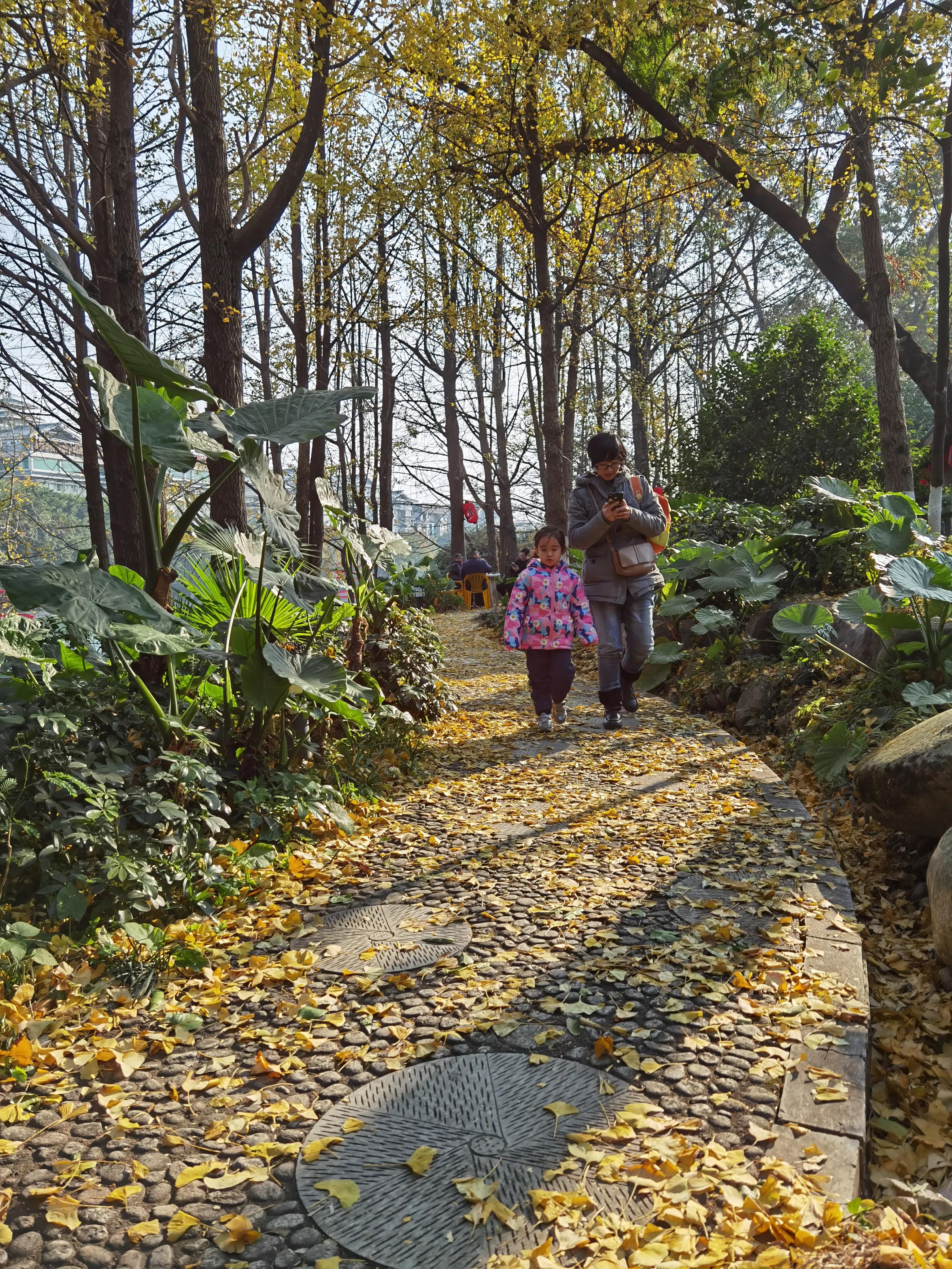 桂林：冬季到桂湖来看景