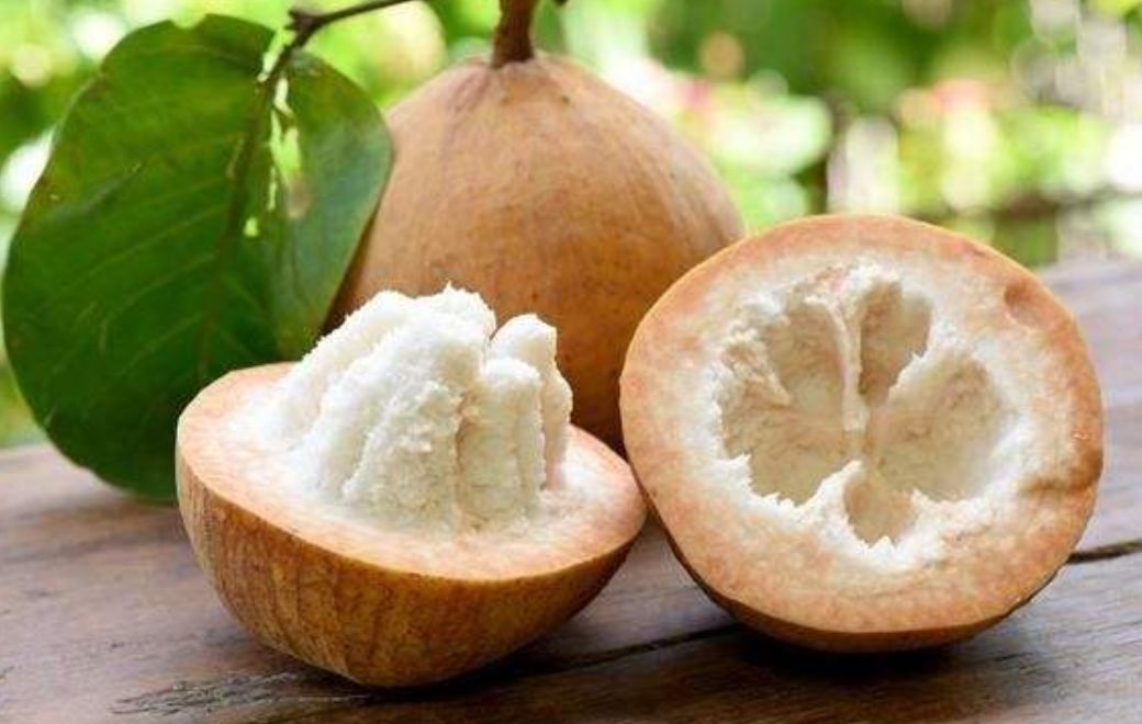 真的是活久见！长成这样居然能吃？