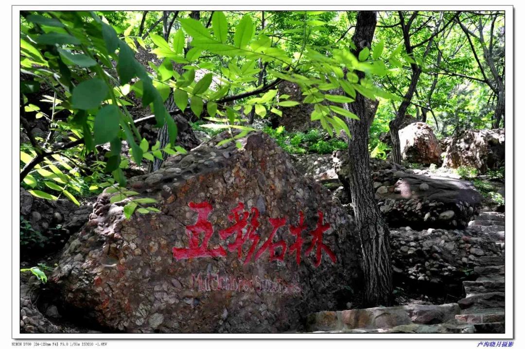 2020年唐山山叶口景点,等这一切过去