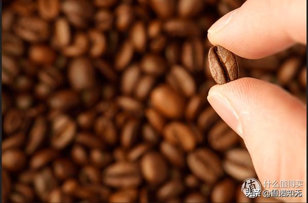 星巴克点单热饮攻略哪些好喝,星巴克新手怎么点便宜又好喝