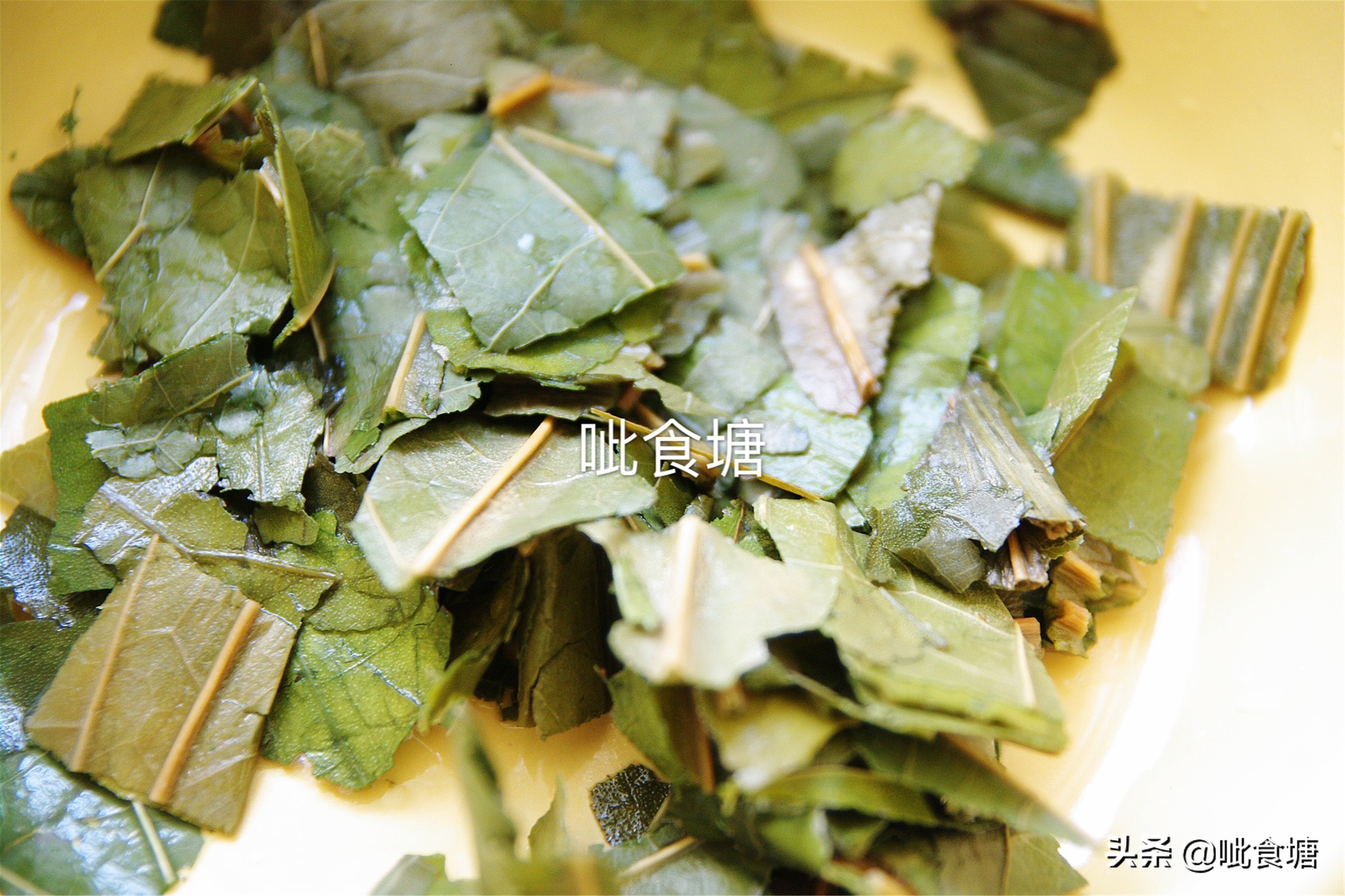 小满砂锅菜粥,小满最适合煲什么粥