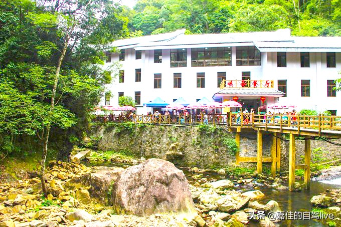 云顶山一日游记,福建云顶山旅游攻略