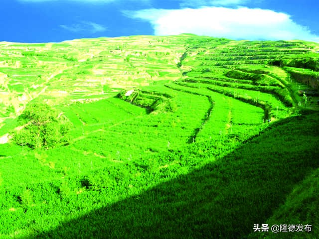 70年·夸夸我的城｜固原：吾心安处是吾乡，蓄势待发未来可期！