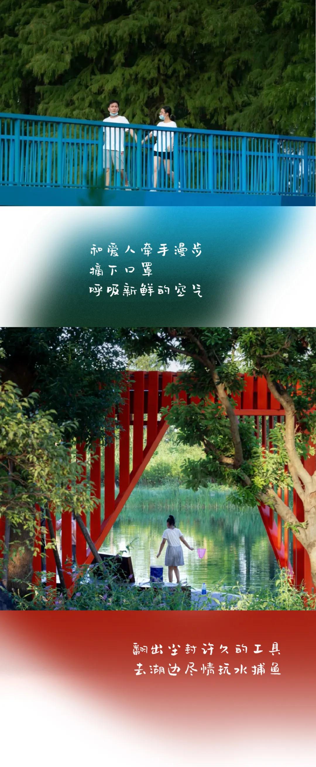 武汉华侨城湿地公园绿化,华侨城生态湿地公园武汉什么区