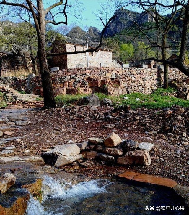 脱贫致富从几年开始的变化,中国是如何脱贫致富的