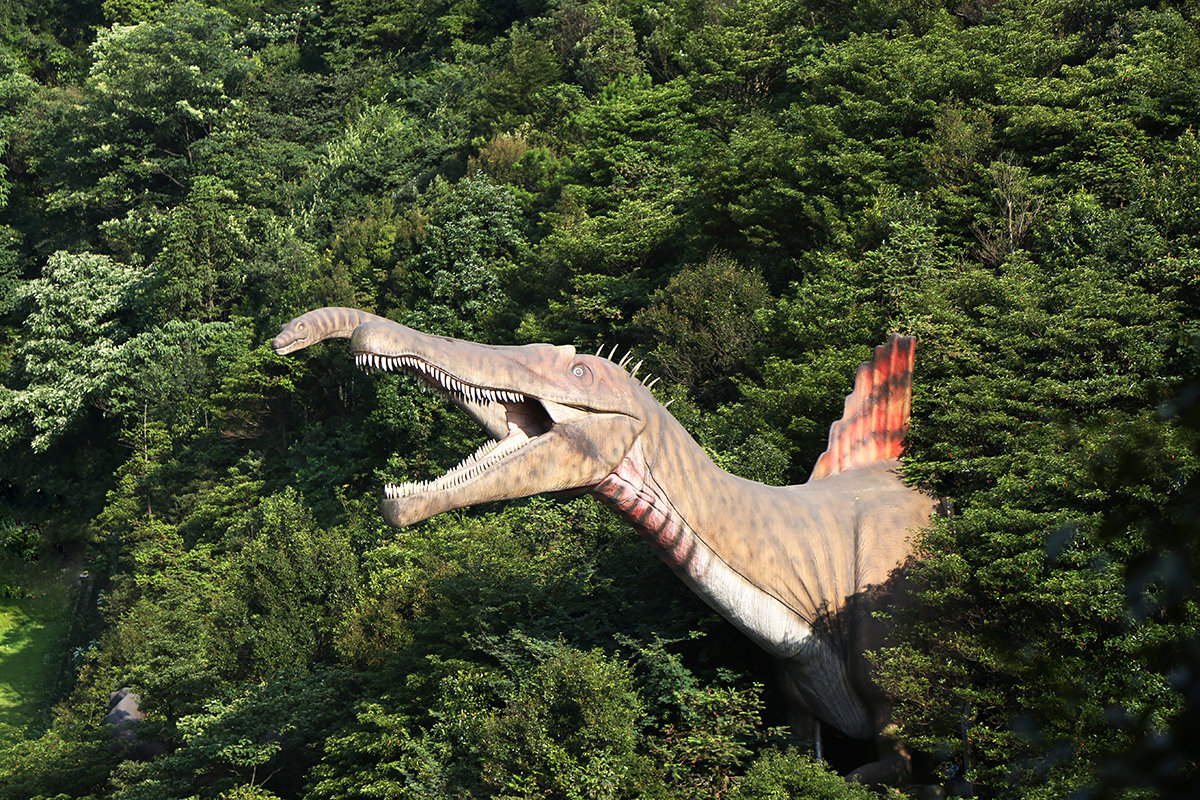 奥陶纪重庆万盛悬崖秋千有多高,悬崖秋千重庆奥陶纪体验全程