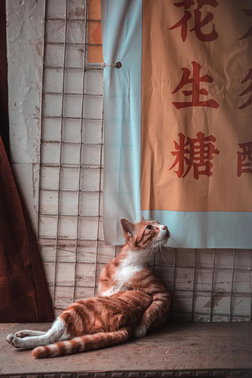 五一去广州的最佳路线,五一广州最佳路线