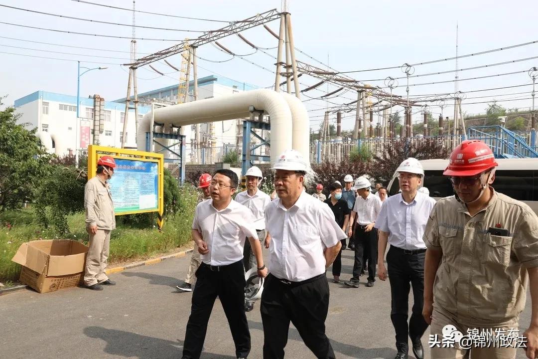 调研党的群团工作,党领导下的群团工作建设