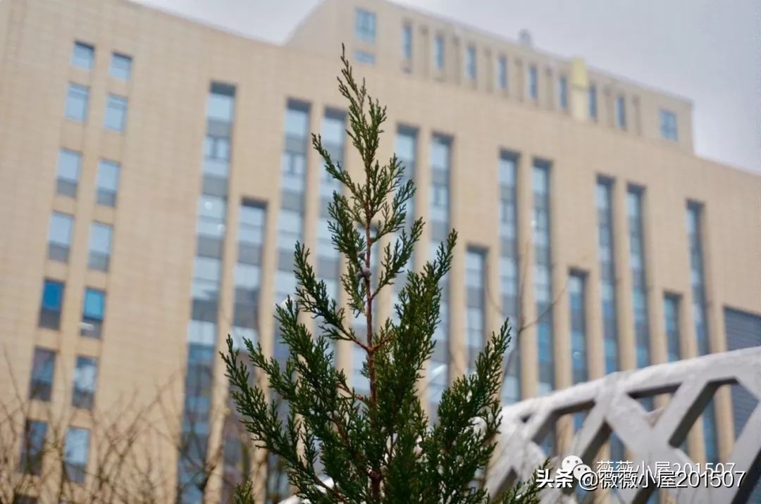 城市漫步,城市漫步郑州