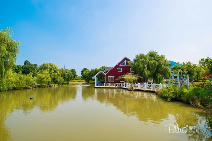 在江苏句容不光可以玩茅山，乡村旅游也做得很不错，游客都很赞