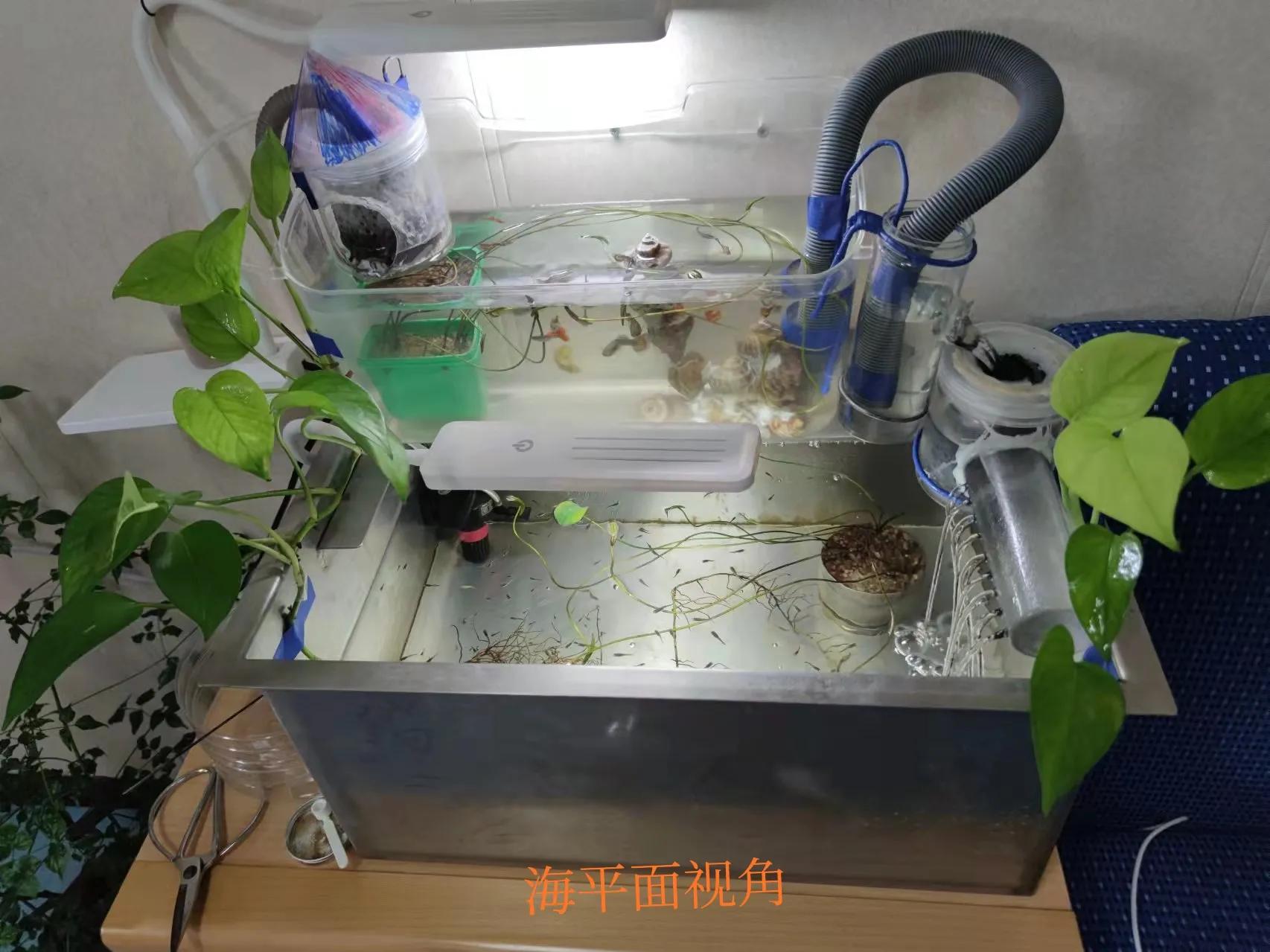 怎样做一名好船员,做一个船员需要什么技能