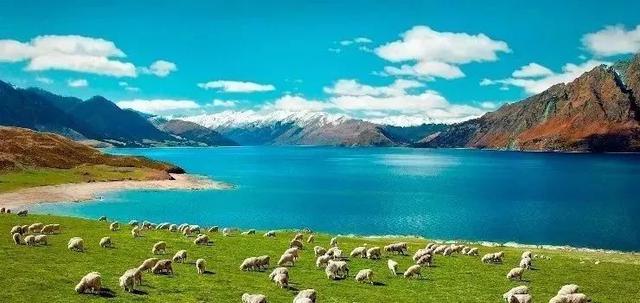 在新西兰三年,我们悄悄地变了,回国反而不适应了