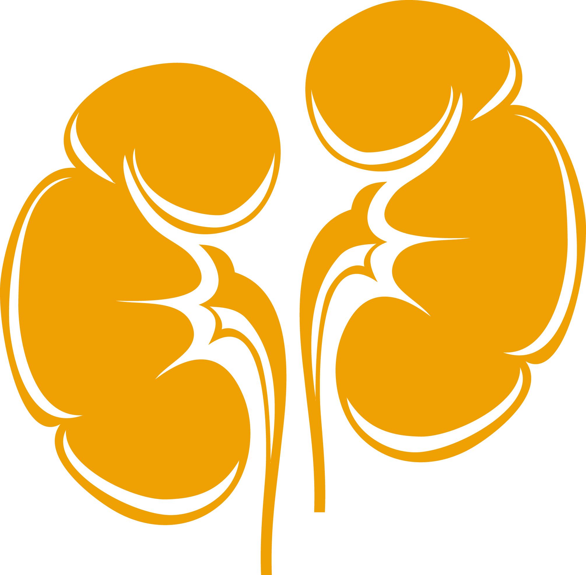 败血症导致急性肾衰竭,脓毒性败血症肾衰竭能治好吗