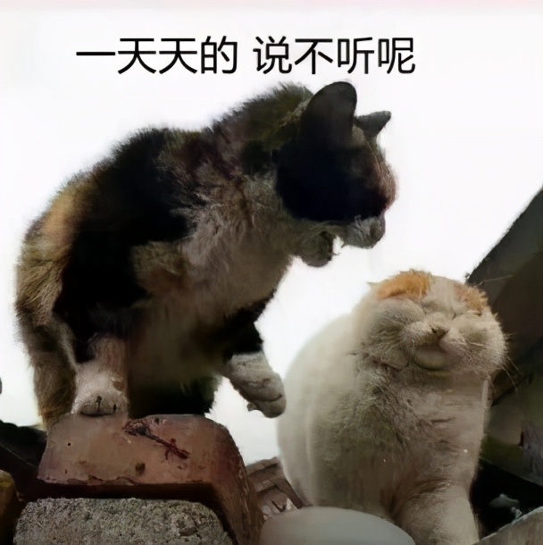 水杨酸30%刷几次有明显效果,水杨酸刷酸真的有用吗