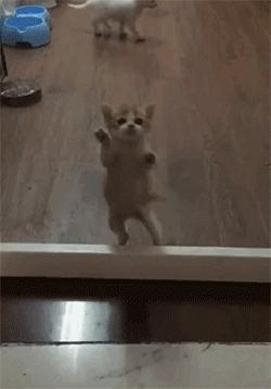 有纱窗为什么家里总有蚊子,有防盗网的房间窗户防蚊纱窗