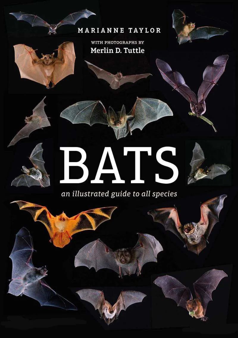 最近，我无师自通了40个专有名词