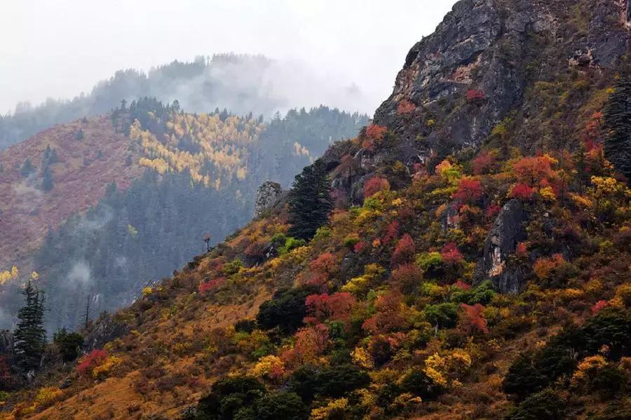 不要再误会英文,不要再误会完整版