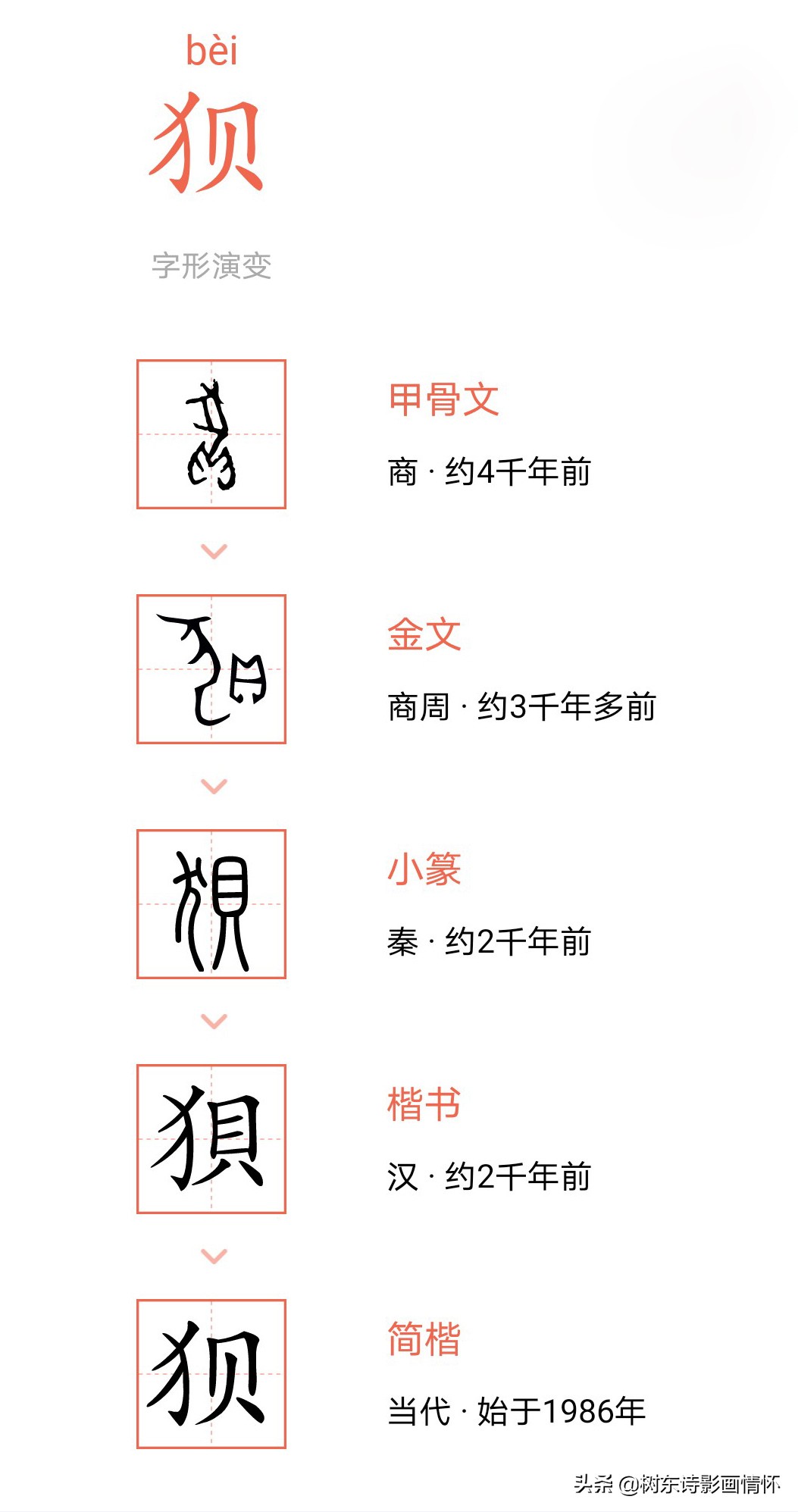 狈字的演变,狈字的演变过程