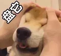 小灯泡亮肤,照亮的小灯泡