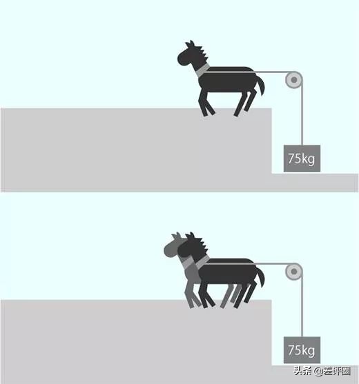 为什么扭矩大提速就快,扭矩和加速度有没有直接关系