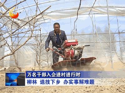 柳林财政所进村入户听民声解民忧,柳林开展入企进村服务工作