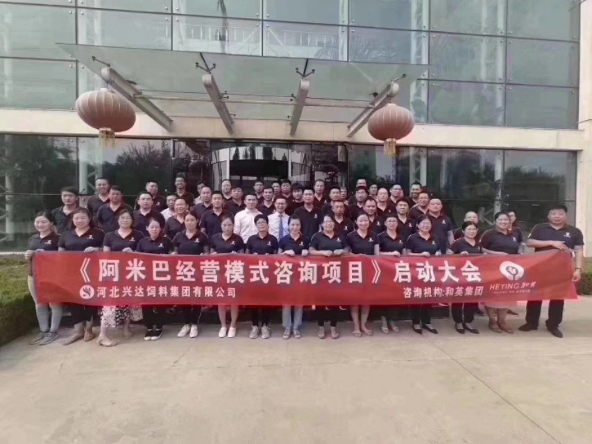 阿米巴经营模式和规模效应,阿米巴的经营模式是什么样的