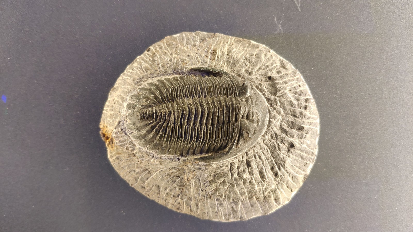 海洋博物馆带孩子游玩攻略,国家海洋博物馆最全攻略来了