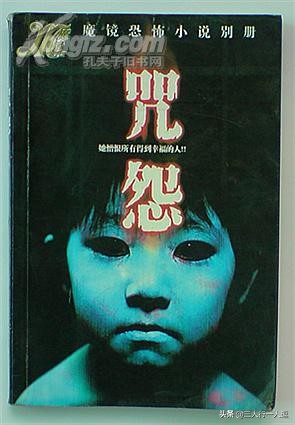 电影咒怨讲的是什么,电影咒怨的真实事件