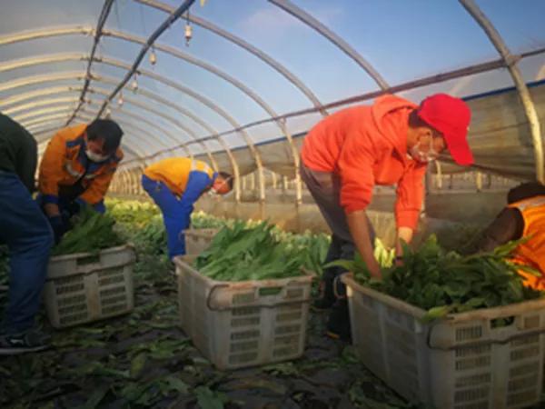 閾佽矾鐗╄祫鏀彺姝︽眽,鍏ㄥ浗楂橀搧鏀彺姝︽眽鐗╄祫