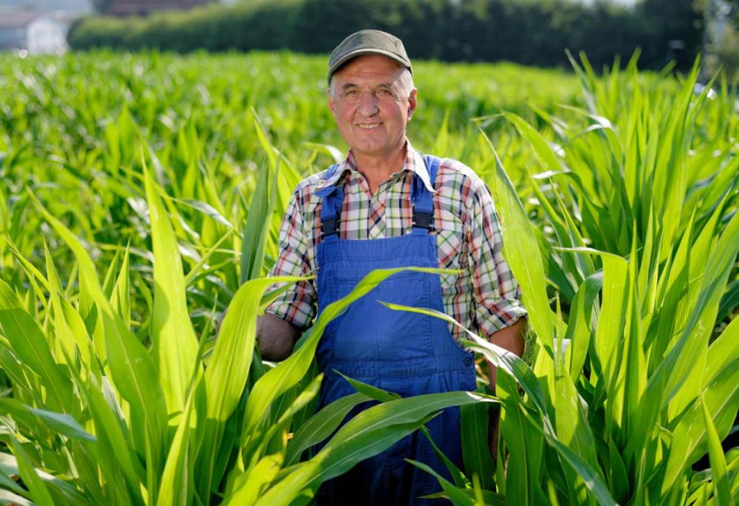 好用大牌护肤品雅诗兰黛,大牌护肤品测评雅诗兰黛