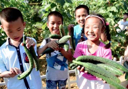 野趣大自然亲子农场攻略一日游,周末驾到