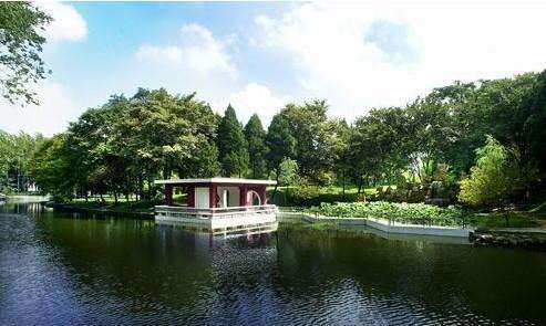 我的大学4年总结,我的大学四年生活