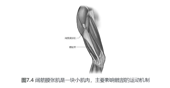 泡沫轴放松髋部肌肉,泡沫轴怎么放松髋部