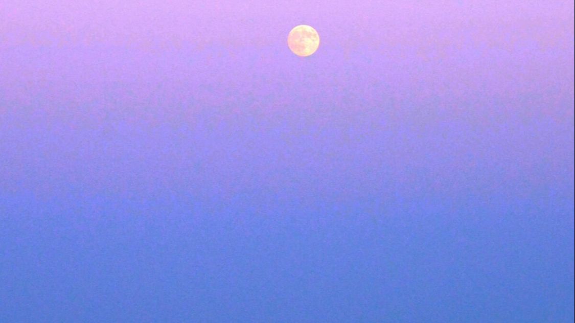 最美望月七绝现代诗词,清风望月诗句大全