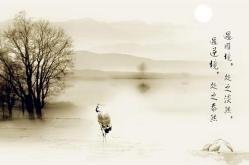 职场上，年轻人到底该不该低头和认怂？看完吓我一跳！