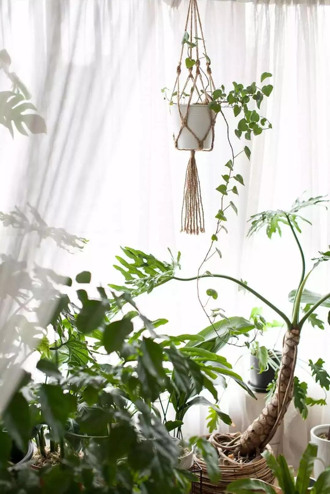 小夫妻98㎡家意外走红！登北京地铁广告，这个家才是都市里的奢侈