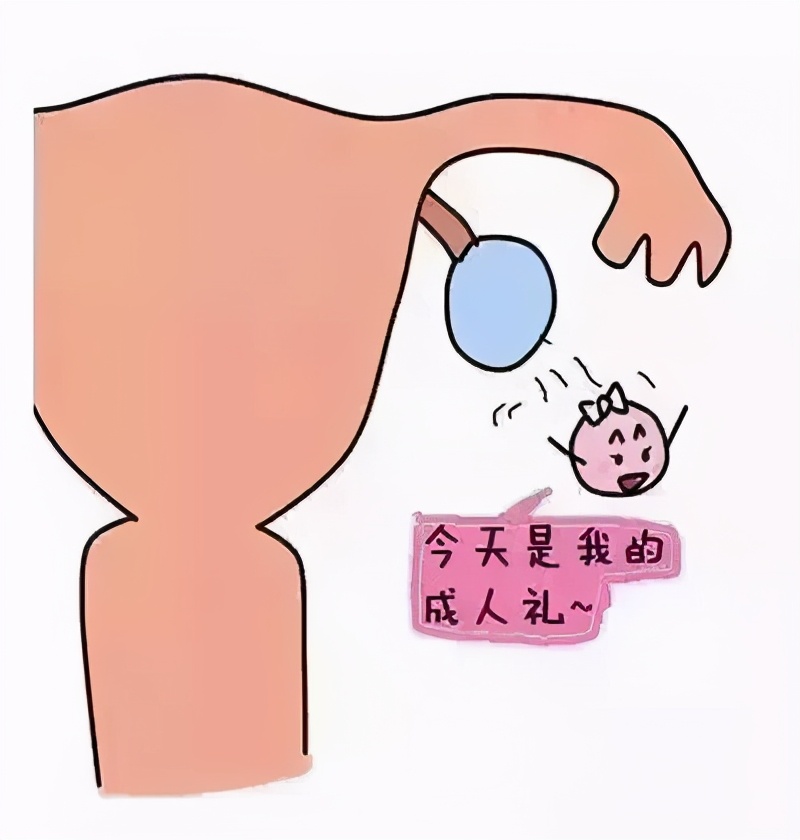 输卵管堵塞是什么原因造成的,输卵管堵塞可以做人工授精吗