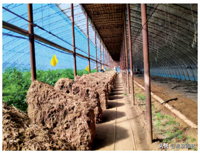 表冷器风机,风机表冷器工作原理