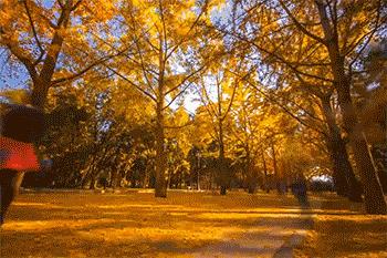 大连有一个蓝色的小城堡景点,大连秋季旅游景点攻略大全