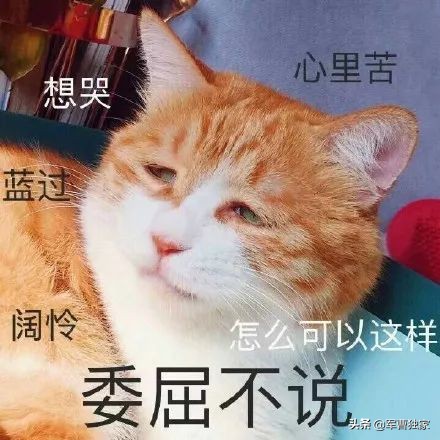 二手房东骗钱可以曝光吗,二手房东租房子的猫腻