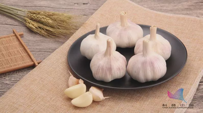 大蒜不能整个吃吗,大蒜吃多了对肠胃有何影响